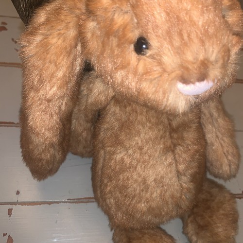 Jellycat maple bunny - jellycat, 🍁